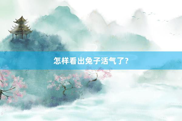 怎样看出兔子活气了？