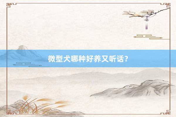 微型犬哪种好养又听话？