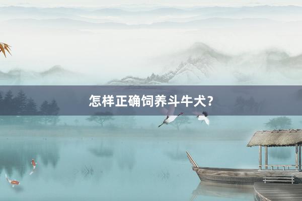怎样正确饲养斗牛犬？