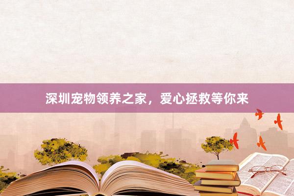 深圳宠物领养之家，爱心拯救等你来